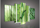 Bambusy 112 S4A - pětidílný